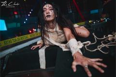 IMG_4230