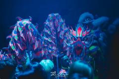 2025.01.31-TheClub-Khaosan-74