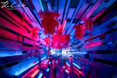 23-IMG_6494