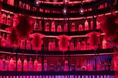 35-IMG_6519