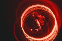 2025.05.17-TheClub-Khaosan-79