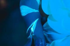 2025.10.07-TheClub-Khaosan-7