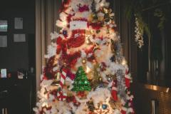 2024.12.12-TheClub-Khaosan-12