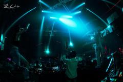 IMG-49